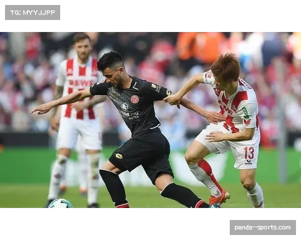 美因茨主场与霍芬海姆战平 本赛季至今主场难求一胜